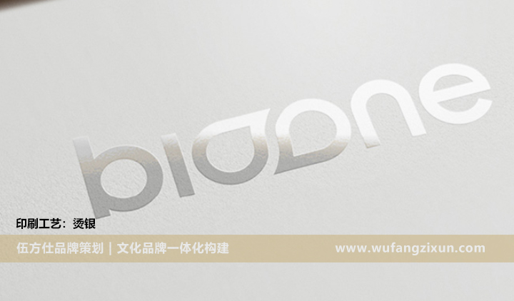 上海企业画册设计印刷——烫银工艺