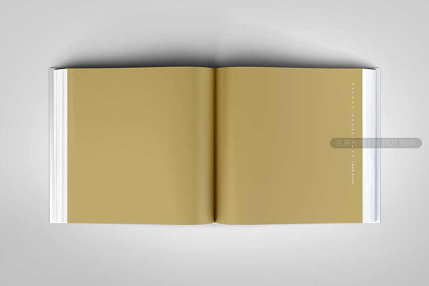 越秀集团三十周年画册设计
